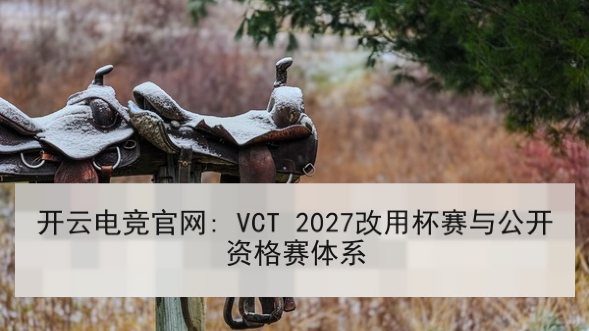 开云电竞官网: VCT 2027改用杯赛与公开资格赛体系